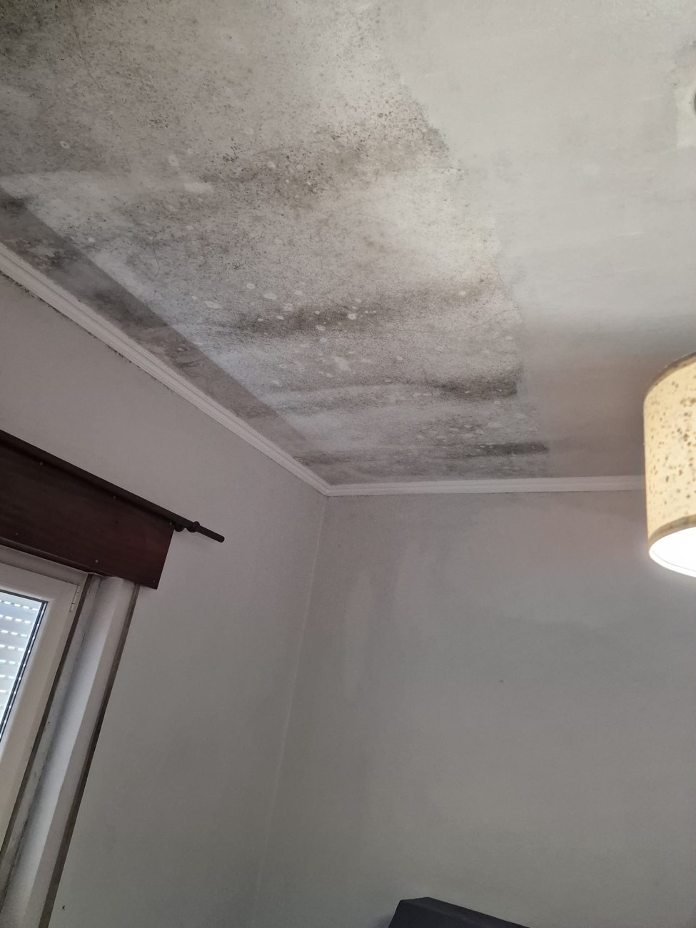 Teto de quarto com manchas escuras de bolor